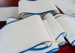 Double Layer Belt Filter Cloth