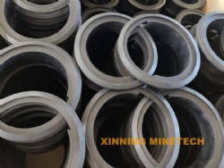 Sealing Ring